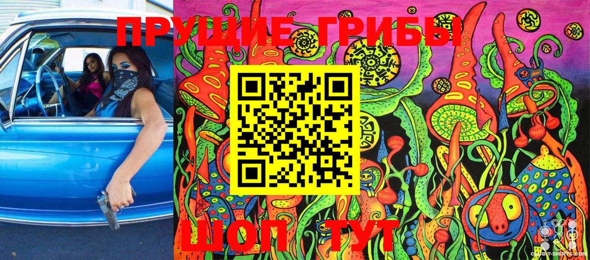 Галлюциногенные грибы Magic Shrooms Осинники